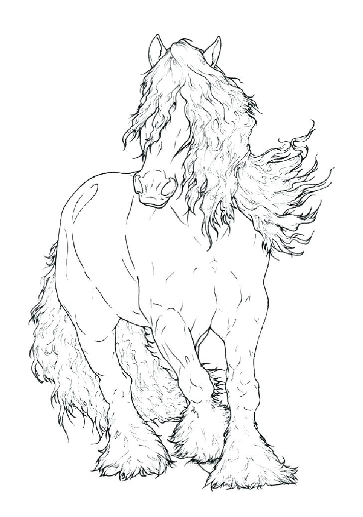 728x1036 Detailed Horse Coloring Pages Galloping Horse Horses Coloring Page