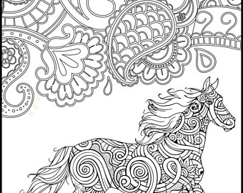 340x270 Printable Coloring Page Adult Coloring Pages Horse