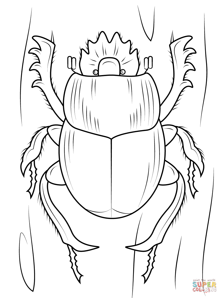 894x1199 Printable Insect Coloring Page For Pictures With Kidsetle Pages Vw