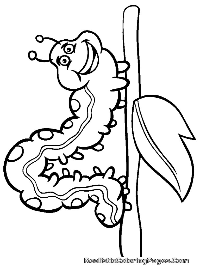 768x1024 Free Printable Insect Coloring Pages