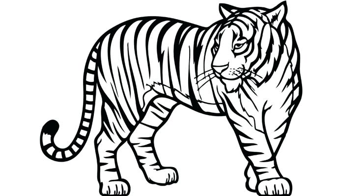 735x400 Jungle Animals Coloring Pages Free Printable Jungle Coloring Pages