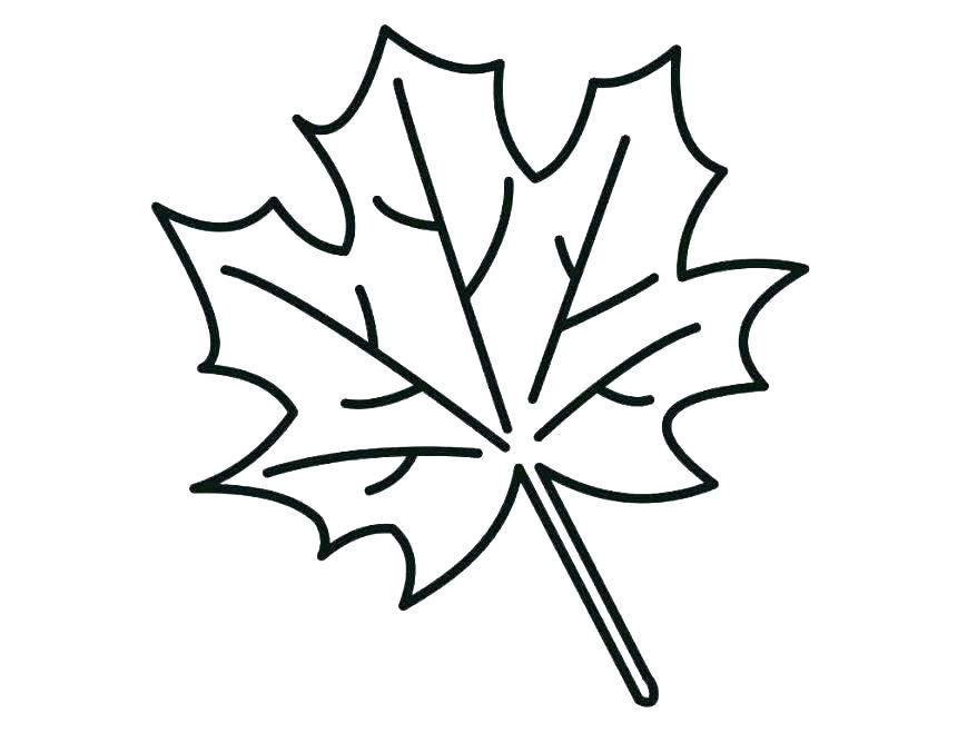 878x659 Coloring Pages Leaves Fall Leaf Template Printable Powerful Maple