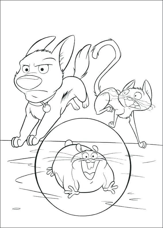 567x794 Mitten Coloring Sheet The Mitten Coloring Page Winter Hat Coloring