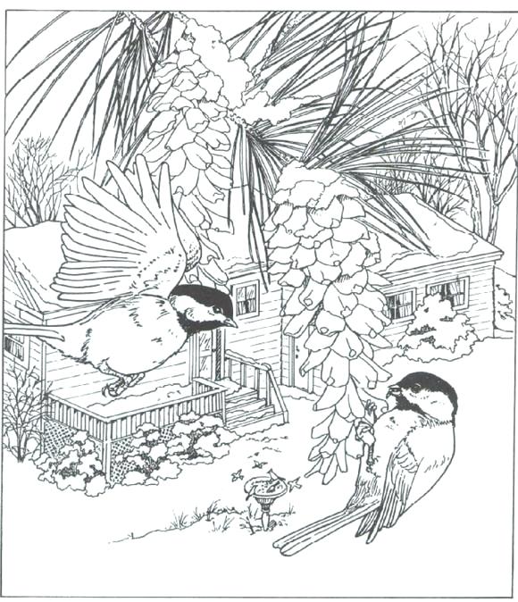 580x674 Best Coloring Pages For Adults Images On Coloring Colouring Craze