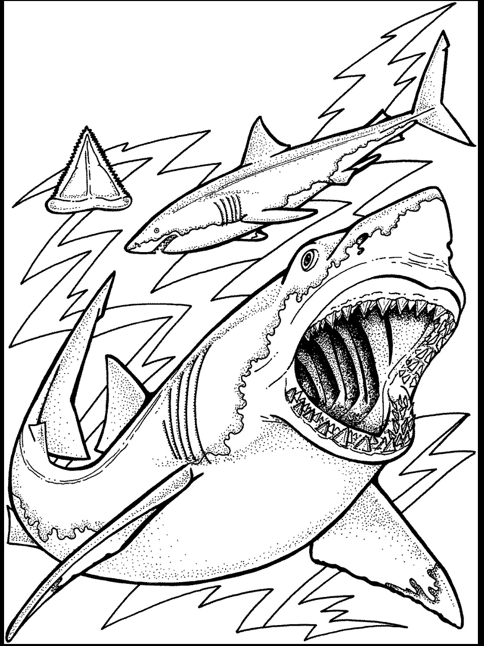 Printable Ocean Coloring Pages