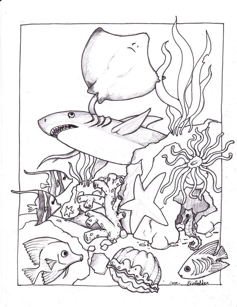785x1018 Free Printable Ocean Coloring Pages For Kids Criaturas Del