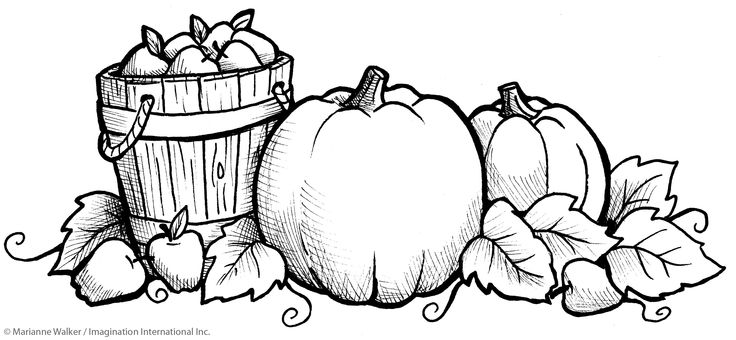 736x340 October Coloring Page October Printable Coloring Pages Holidays