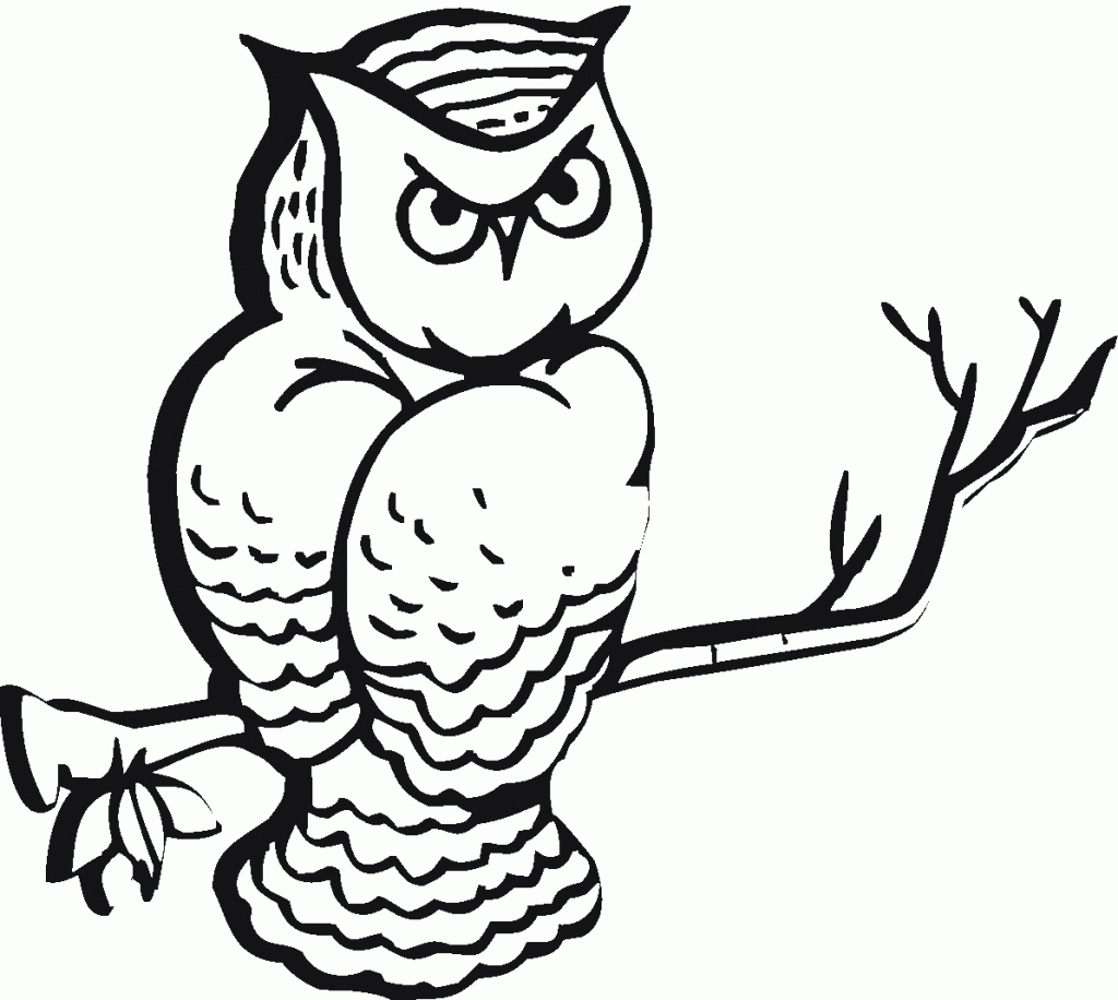 Printable Owl Coloring Pages