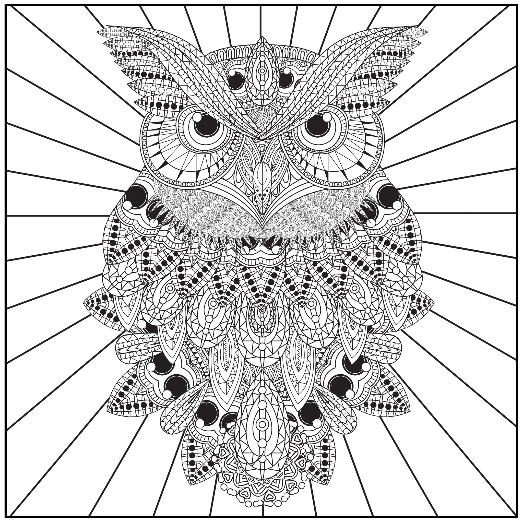 2048x2048 40 Coloring Pages Of Owls For Adults, Freebie Owl Coloring Page