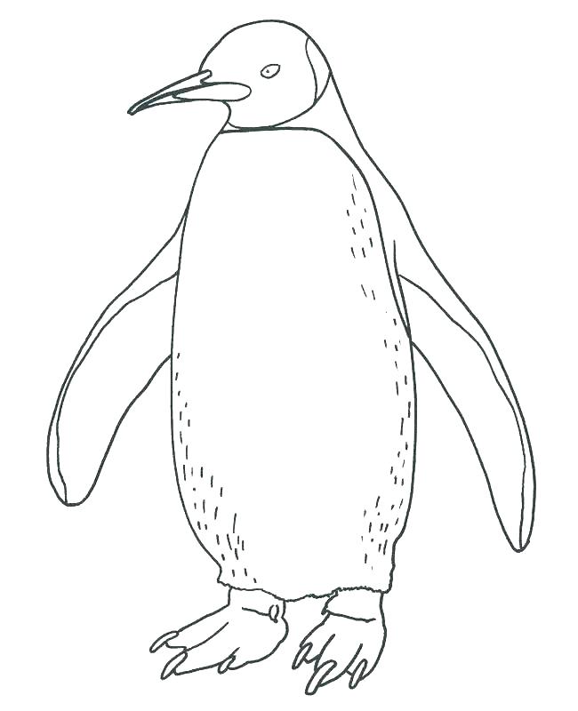 Printable Penguin Coloring Pages