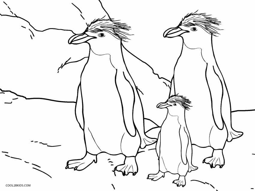 850x638 Printable Penguin Coloring Pages For Kids Cool2bkids Animal
