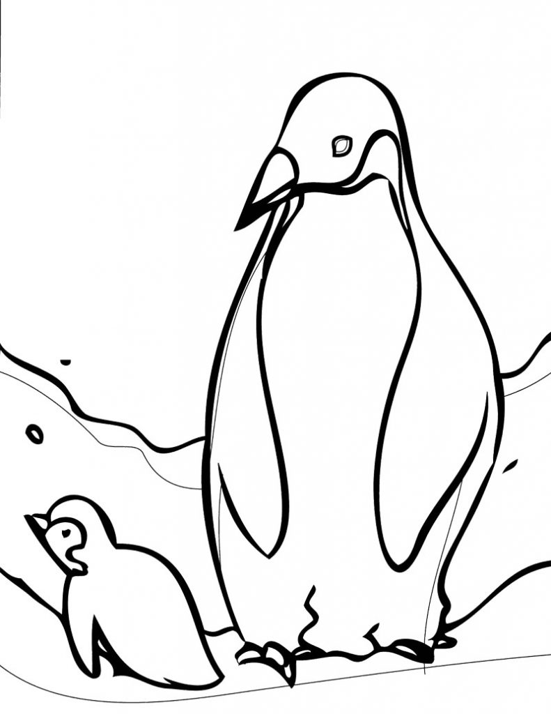 791x1024 Baby Penguin Coloring Page Animal Cute Free Sensational Printable