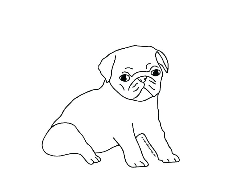 805x604 Pug Coloring Book Pug Coloring Page Pug Coloring Page Custom Pug