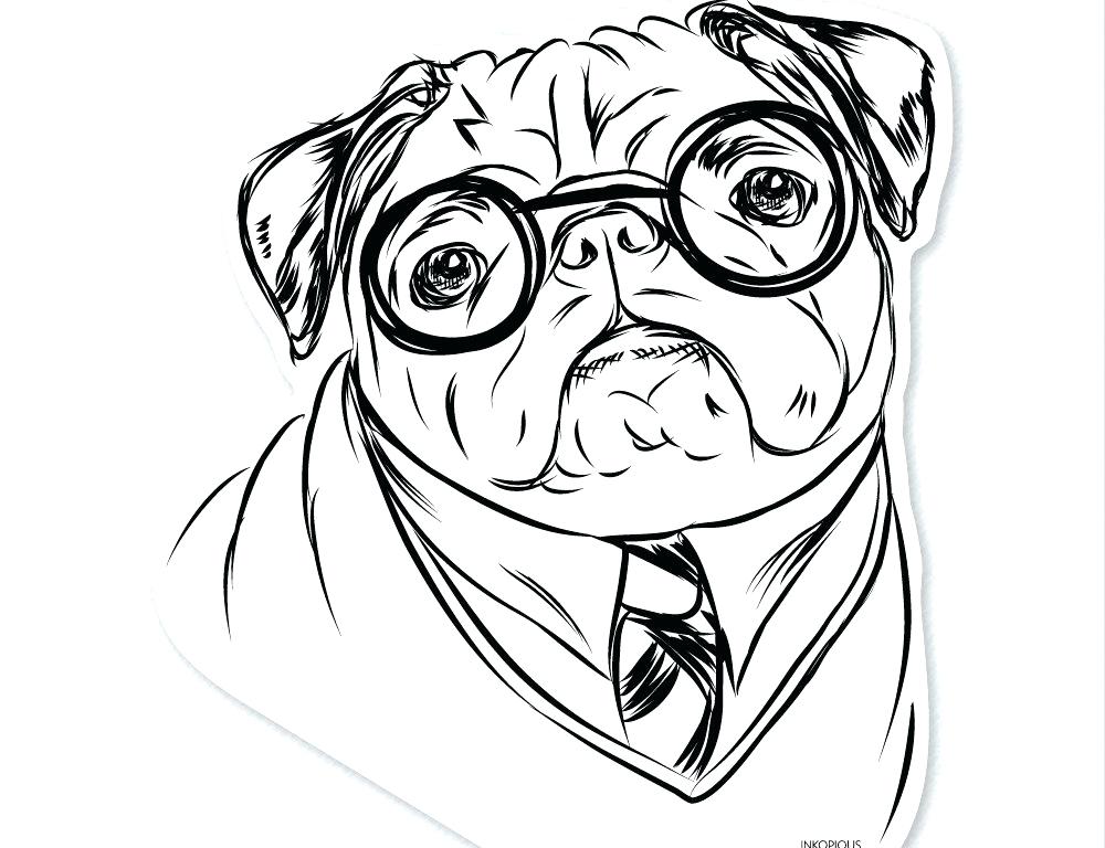 1000x768 Pug Pictures To Color