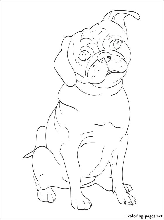 560x750 Pug Coloring Page Coloring Pages