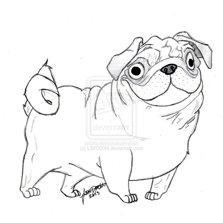 894x894 Pugs Coloring Pages Acpra