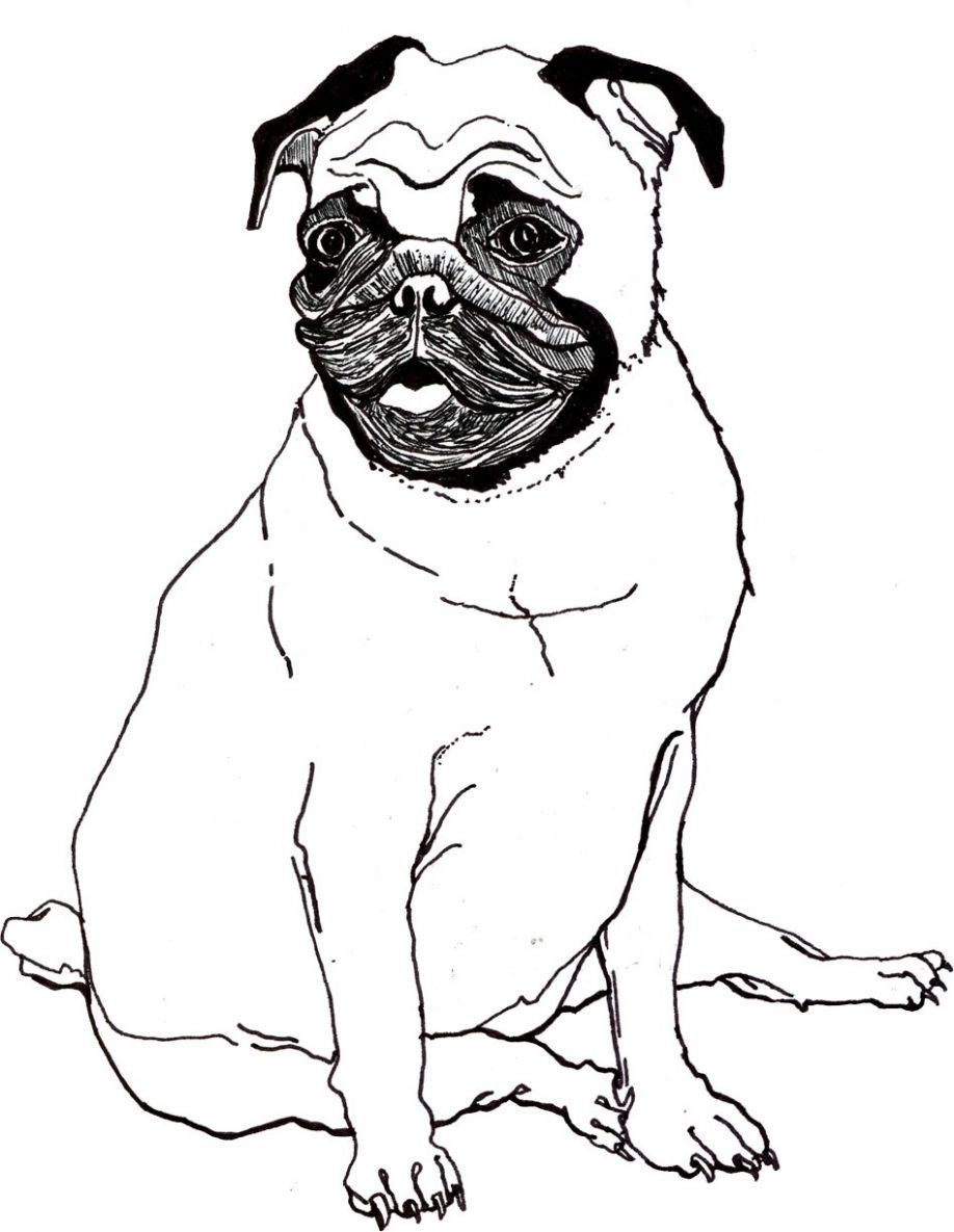 918x1185 Printable Pug Coloring Pages Free Pug Coloring Sheets. Kids