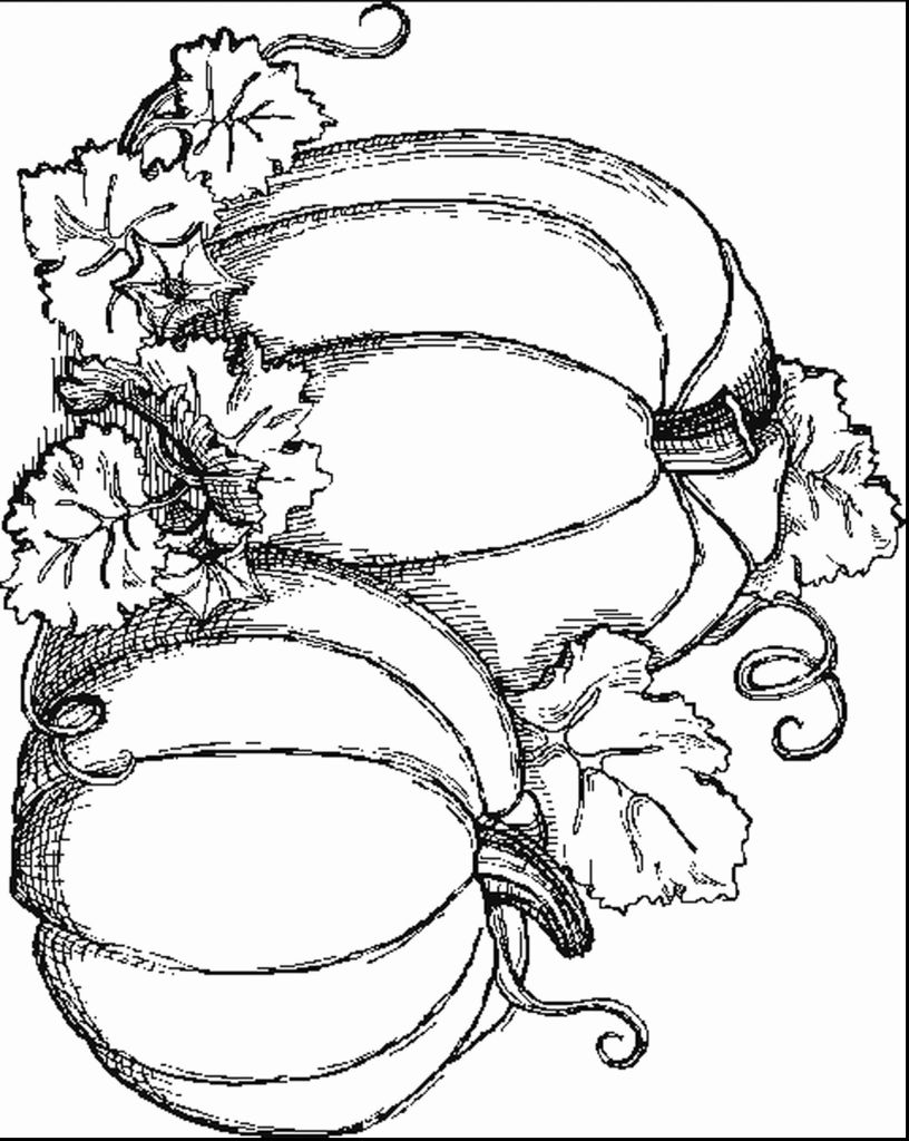 Printable Pumpkin Coloring Pages