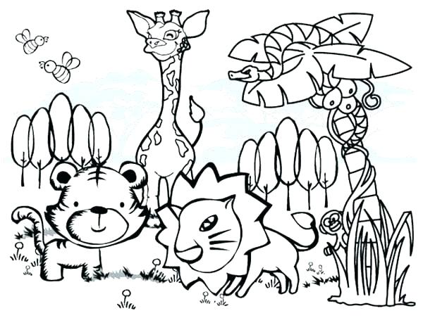 600x452 Rainforest Flowers Coloring Pages Coloring Pages Printable Ideas