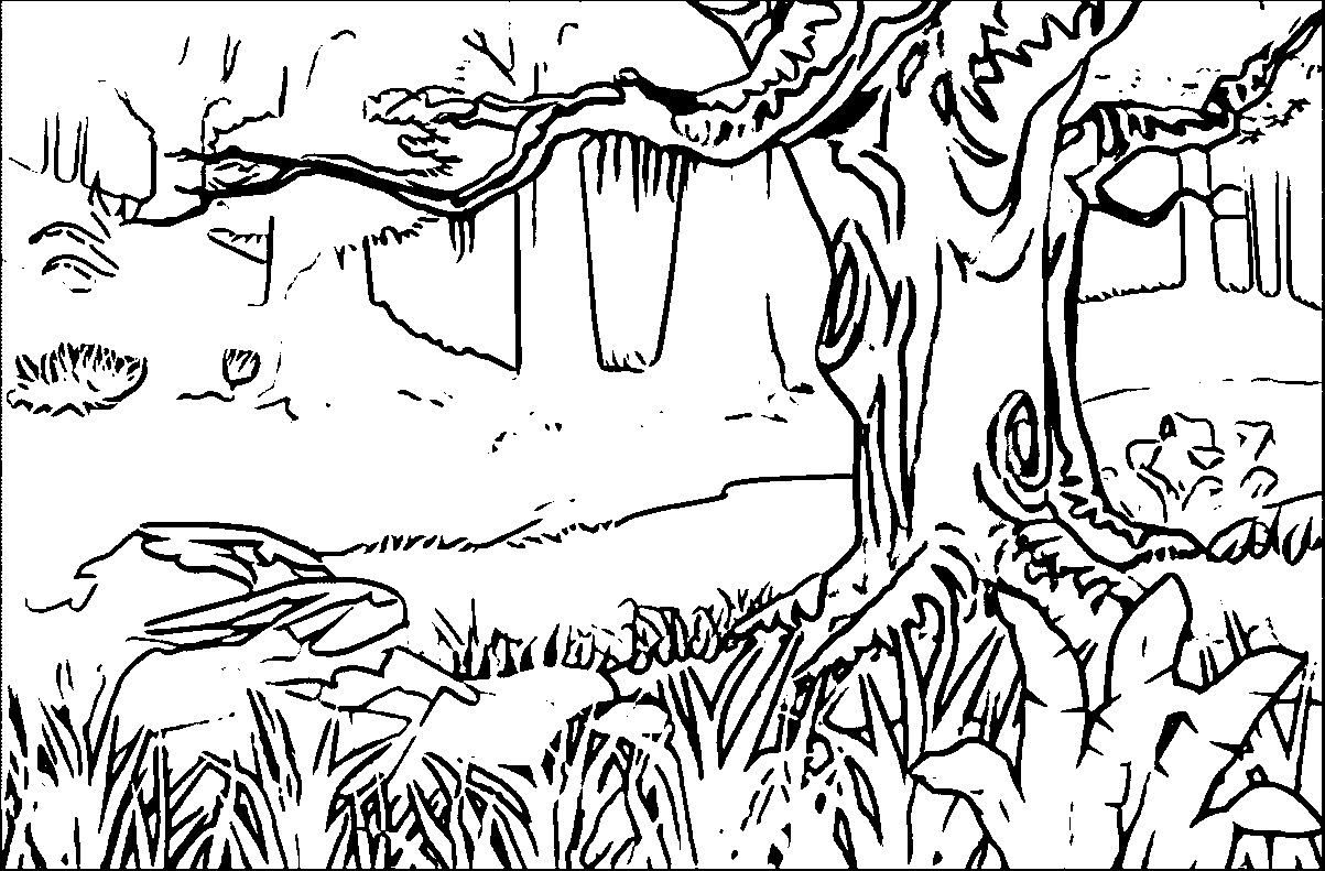 1203x791 Temperate Rainforest Coloring Pages New 42 Forest Coloring Pages