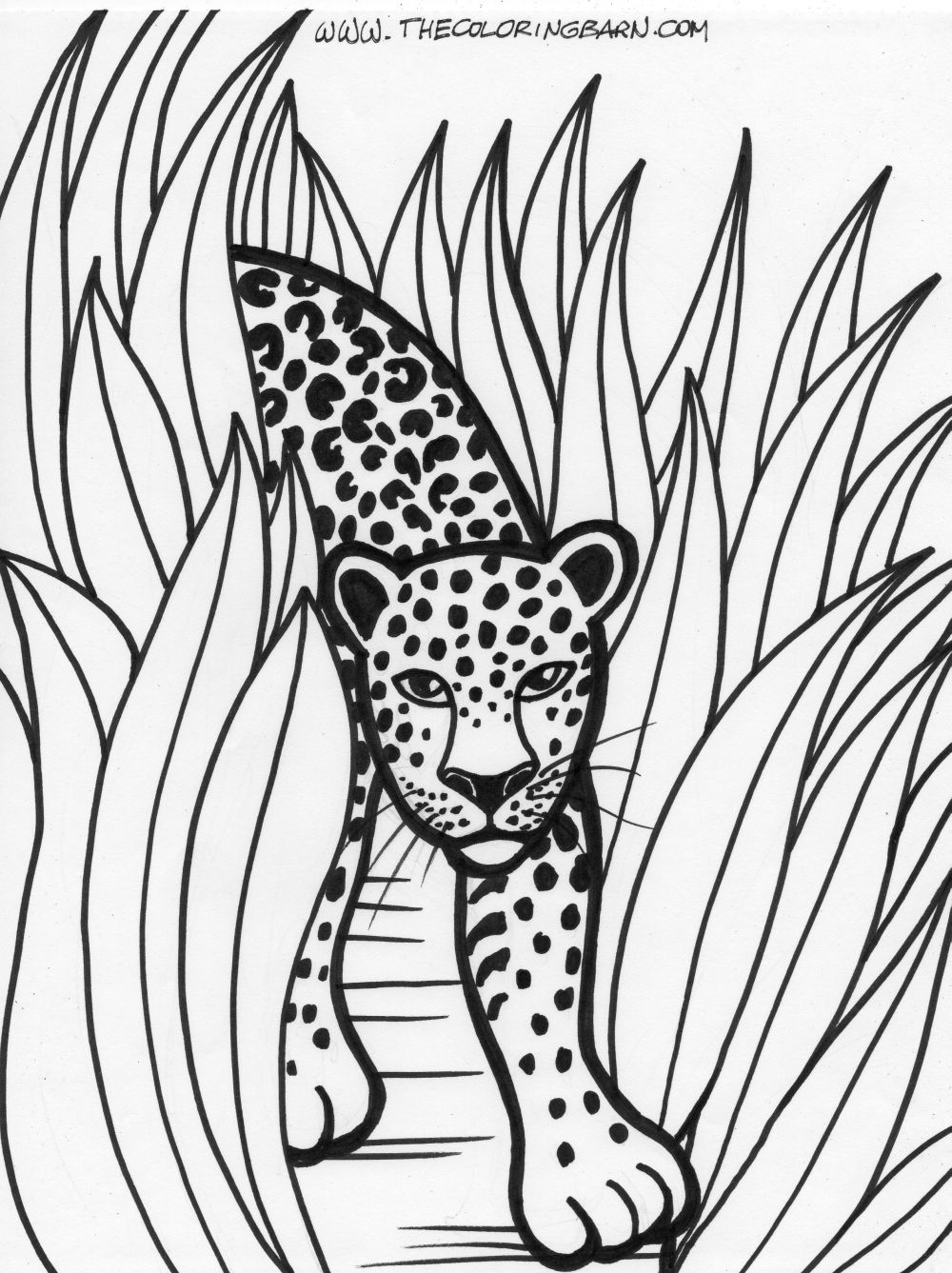 1000x1337 Valuable Rainforest Coloring Pages Printable The Barn