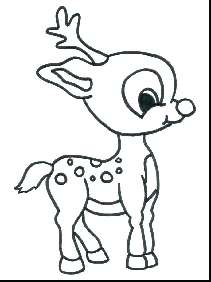 687x916 Ocean Animal Coloring Pages Real Animal Coloring Pages Real Animal