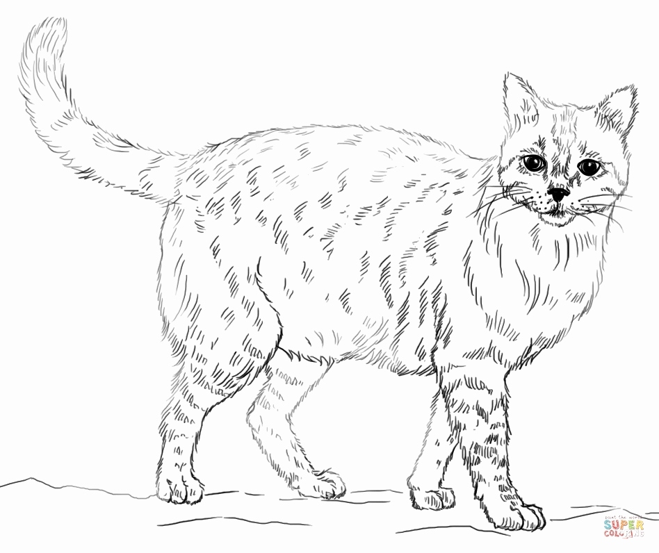 948x796 Realistic Animal Coloring Pages Free Printable Realistic Animal