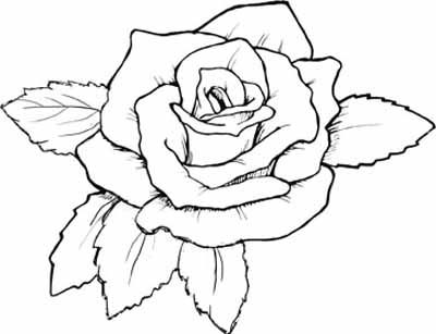 400x307 Printable Roses To Color Coloring Pages Of Roses Radiate