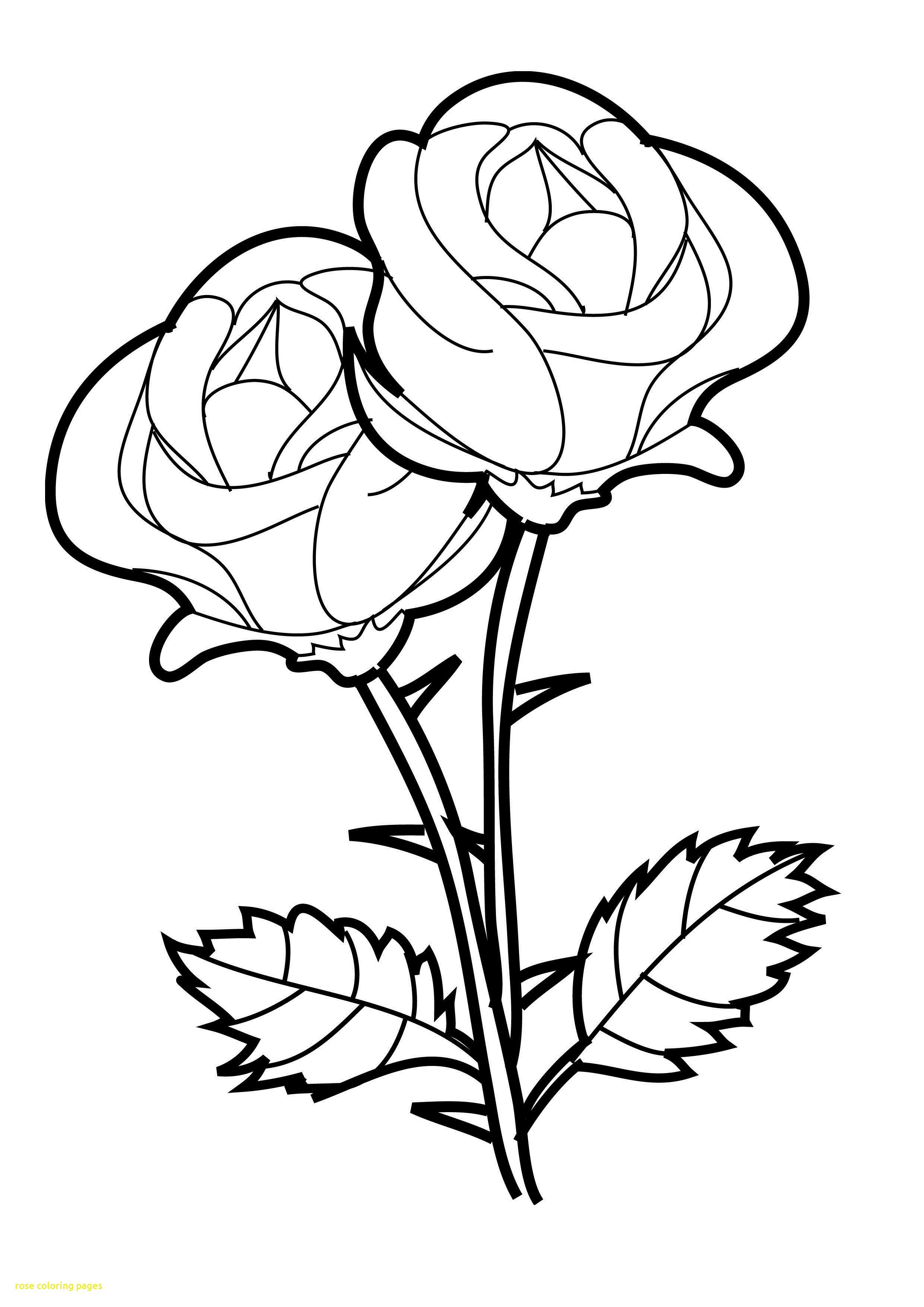 2480x3508 Simple Rose Coloring Pages New Fresh With Free Printable Roses