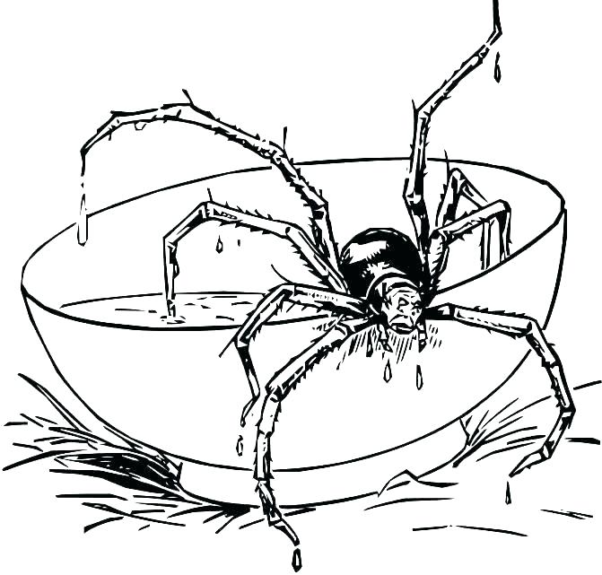 671x641 Spider Coloring Pages To Print Lego Spiderman Printable Coloring