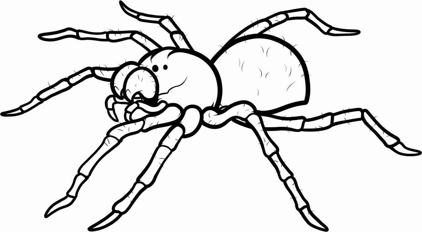 1381x759 Spiders Coloring Pages Olegratiy