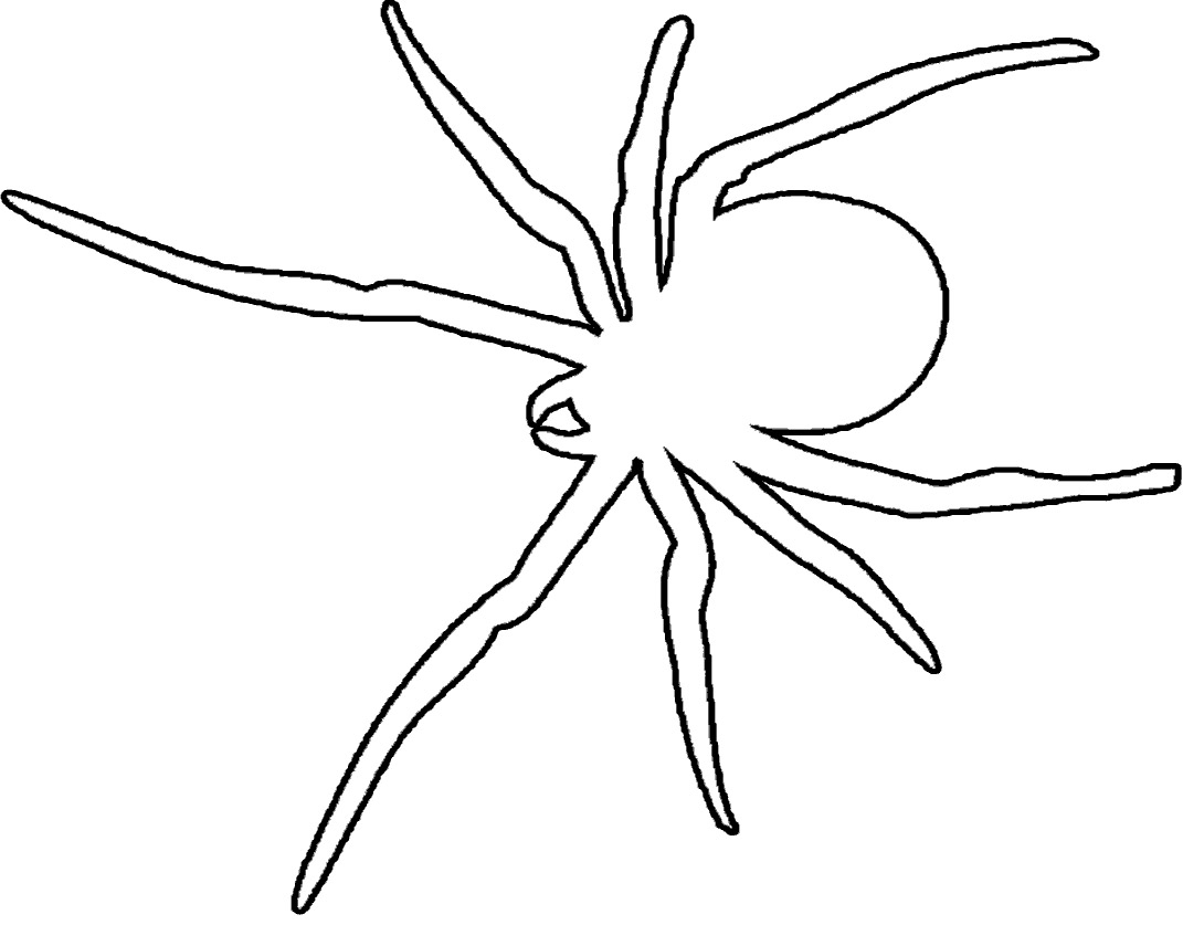 1071x837 Printable Spider Coloring Pages Coloring Me