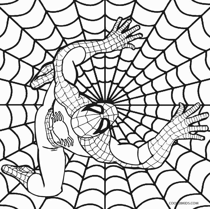 842x841 Printable Spiderman Coloring Pages For Kids Cool2bkids