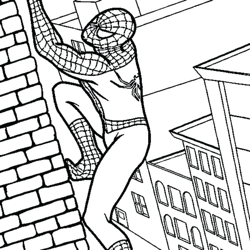 800x800 Free Printable Spiderman Coloring Pages Coloring Pages Online Free