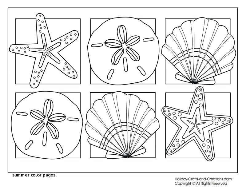 800x618 Printable Beach Coloring Pages Summer Color Pages With Fun Free