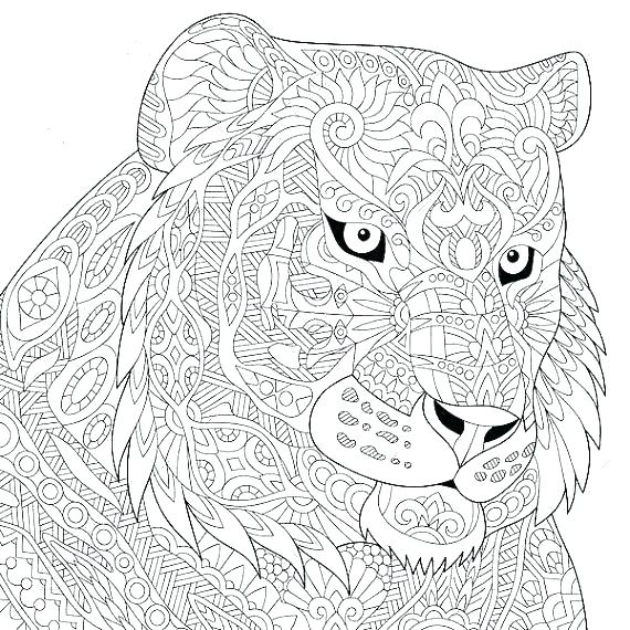 570x570 Saber Tooth Tiger Coloring Pages Free Tiger Coloring Pages Tiger