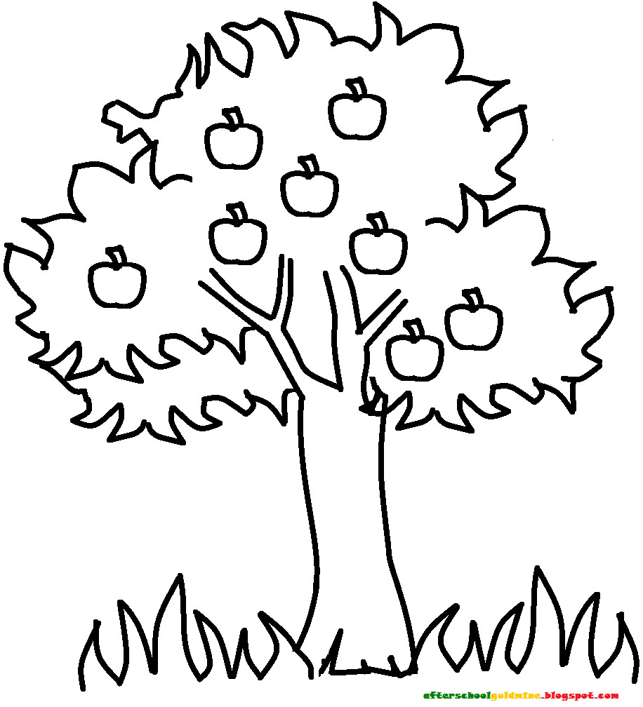916x1008 Maryland State Tree Coloring Page Free Printable Pages Ripping Acpra