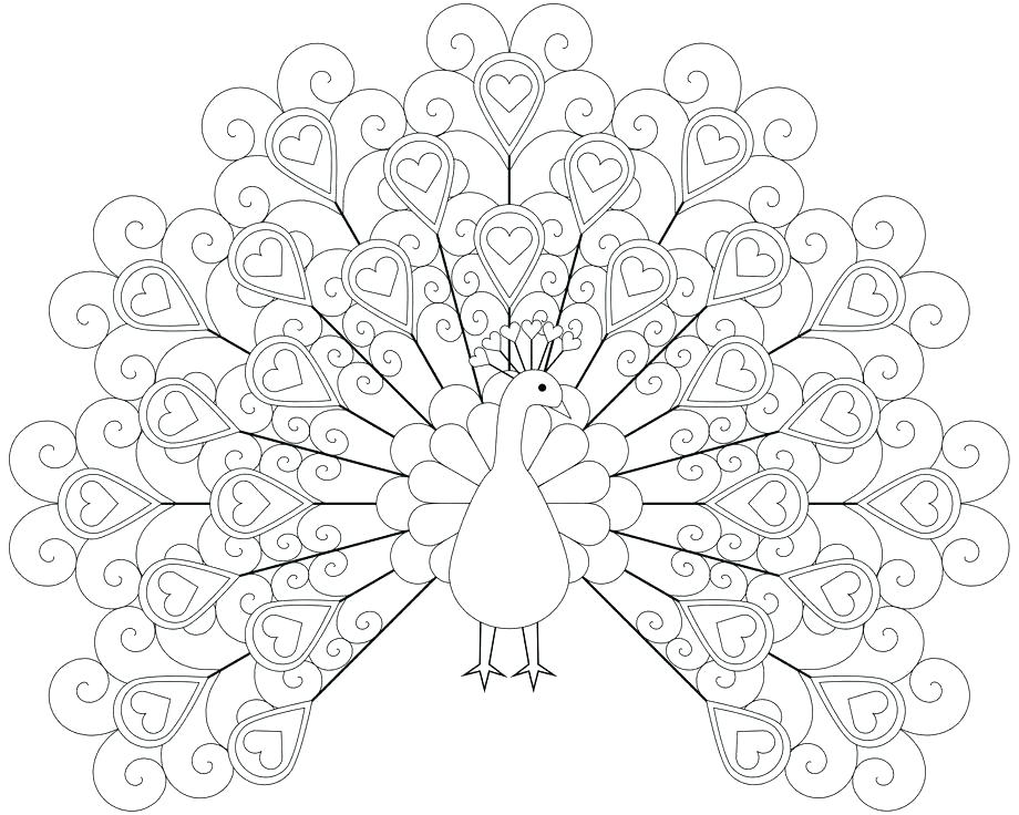 920x736 Feather Coloring Pages Peacock Color Page Printable Peacock