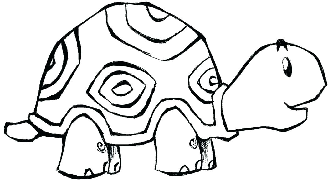 1048x587 Coloring Book Pages Turtles Kids Coloring Printable Turtle