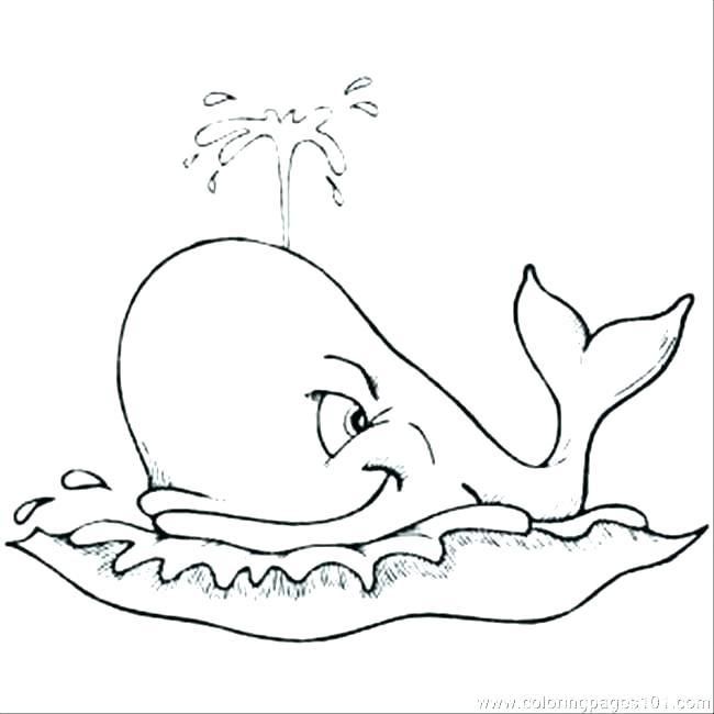 650x650 Whale Coloring Pages Coloring Page And The Big Fish Coloring Page