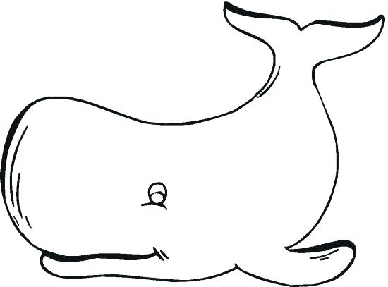 550x407 Good Whale Coloring Pages And Whale 5 Free Printable Whale