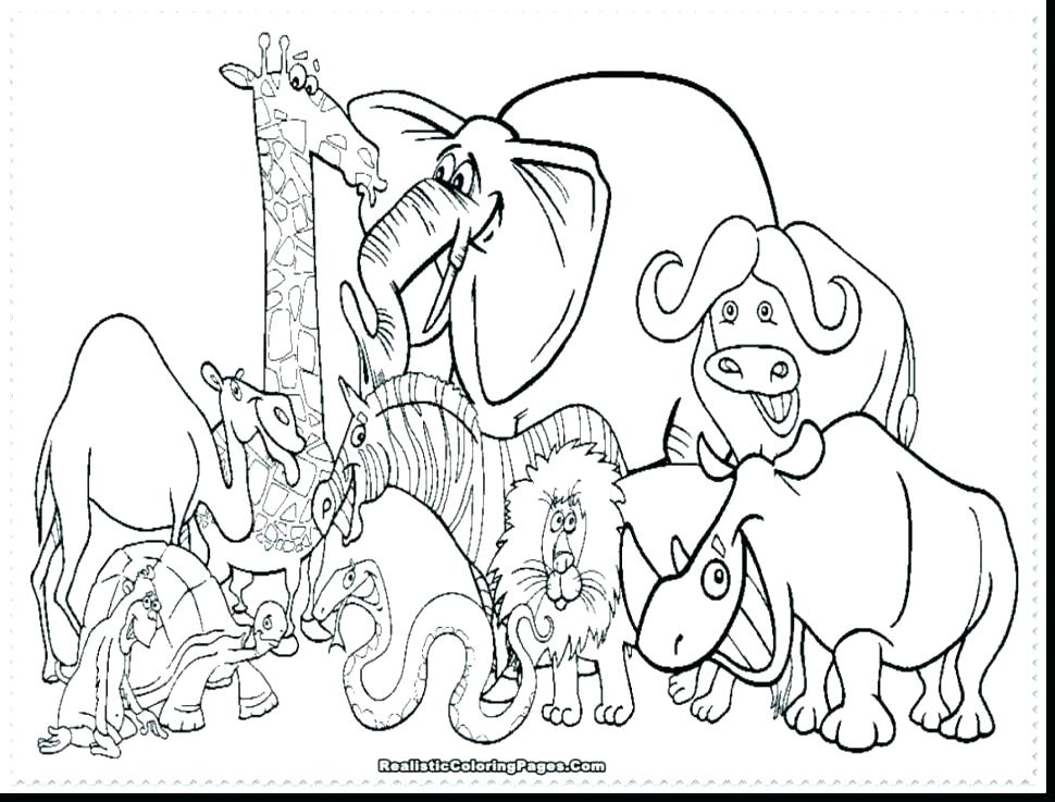 970x737 Zoo Animal Coloring Page Zoo Pictures Color Zoo Animals