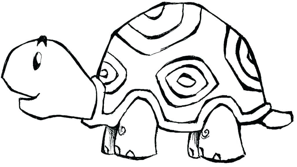 1024x575 Zoo Animals For Coloring Coloring Book Zoo Animals As Well As Zoo