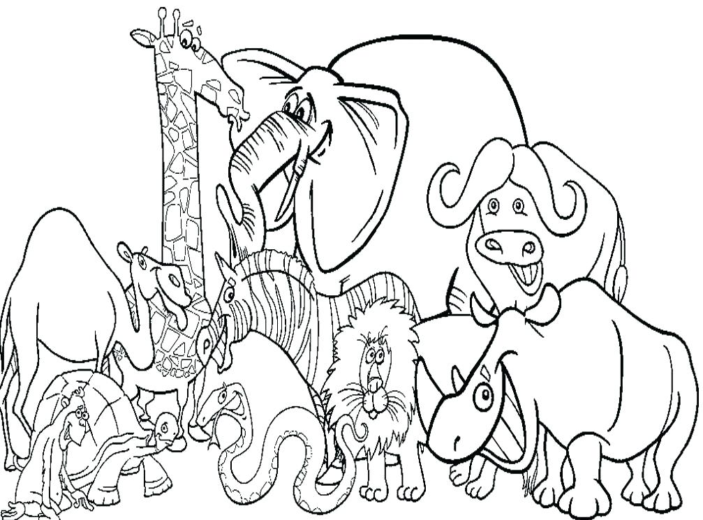 1007x745 Zoo Coloring Sheets Coloring Pages Zoo Animals Coloring Page Zoo