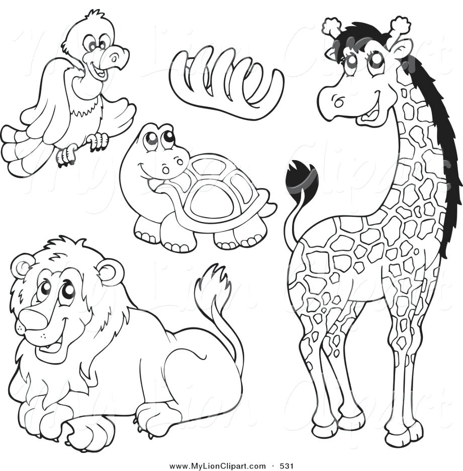 921x938 Coloring Pages ~ Zoo Animals Coloring Pages For Kindergarten Zoo