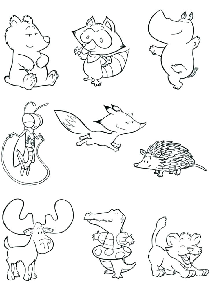 725x1024 Coloring Pages Zoo Animals Printable Zoo Coloring Pages Coloring