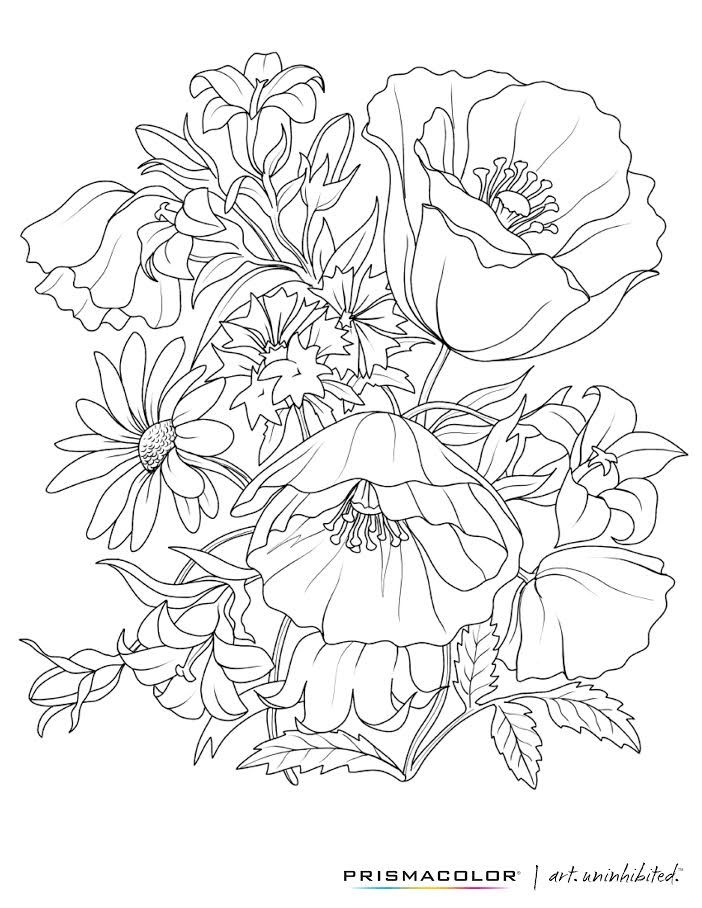 702x908 42990 Best Coloring Images On Coloring Pages, Coloring
