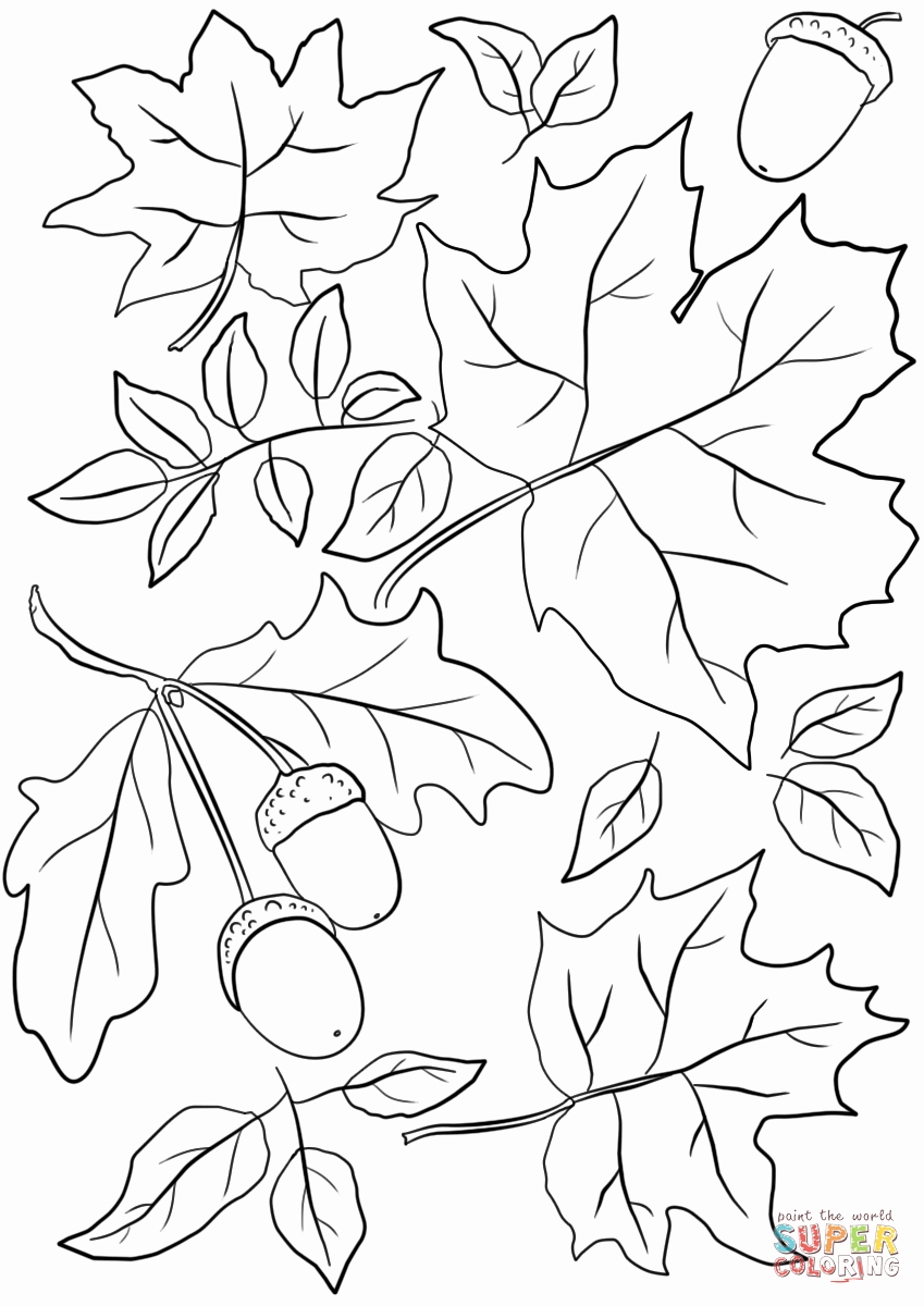 849x1200 Professional Coloring Pages Of Leaves Free Printables Nature