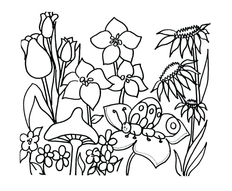 780x644 Garden Coloring Pages For Kids Garden Coloring Pages For Kids