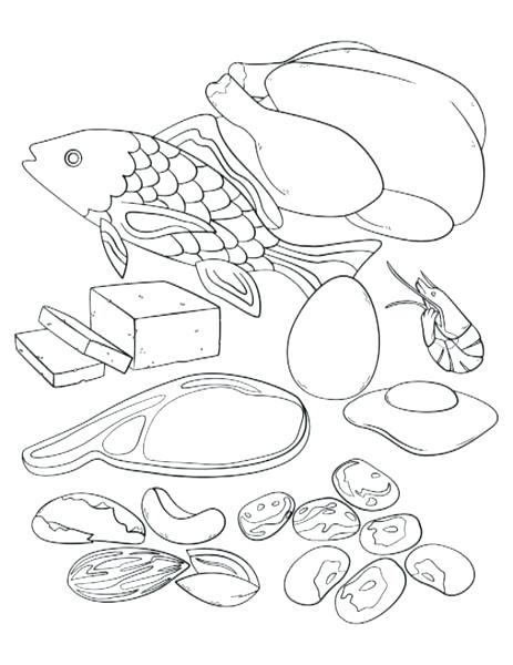 463x600 Myplate Coloring Page Coloring Page Collection Protein Coloring